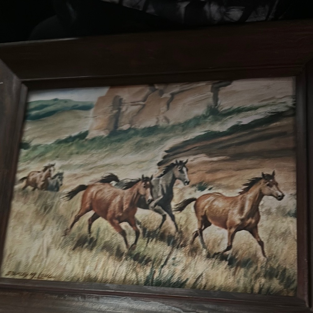 Wild Horses Framed Art